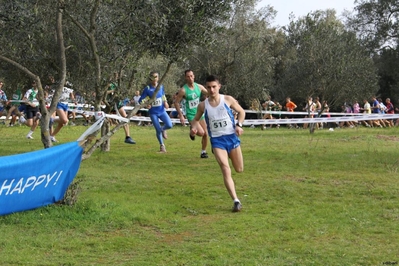 Clicca per vedere l'immagine alla massima grandezza