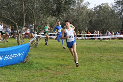 Clicca per vedere l'immagine alla massima grandezza