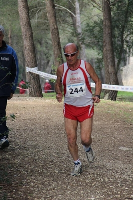 Clicca per vedere l'immagine alla massima grandezza