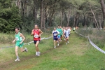 IMG_1999.jpg