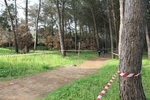 IMG_2010.jpg