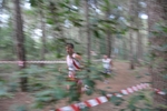 IMG_2095.jpg
