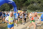 IMG_2262.jpg
