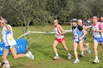 IMG_2278.jpg