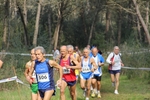 IMG_2282.jpg