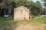 IMG_2286.jpg