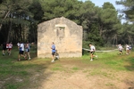 IMG_2290.jpg