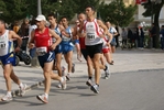 diom_510.jpg