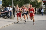 diom_558.jpg