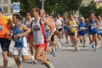 diom_584.jpg