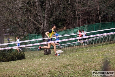 Clicca per vedere l'immagine alla massima grandezza