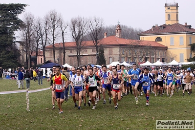 Clicca per vedere l'immagine alla massima grandezza