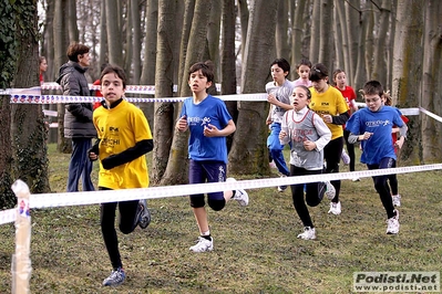 Clicca per vedere l'immagine alla massima grandezza