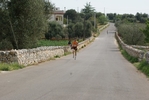 eco_431.jpg
