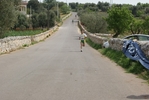 eco_656.jpg