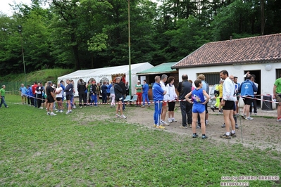 Clicca per vedere l'immagine alla massima grandezza