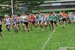 DSC_0413.jpg