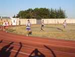 Immagine_130.jpg