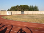 Immagine_140.jpg