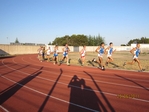 Immagine_147.jpg