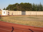 Immagine_153.jpg