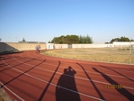 Immagine_162.jpg