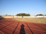 Immagine_171.jpg