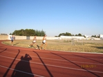 Immagine_176.jpg