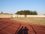 Immagine_181.jpg