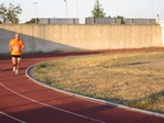 Immagine_284.jpg