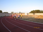 Immagine_299.jpg