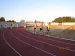 Immagine_317.jpg