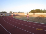 Immagine_320.jpg