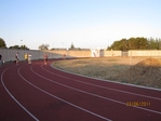 Immagine_327.jpg