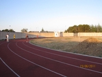 Immagine_331.jpg
