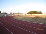 Immagine_348.jpg