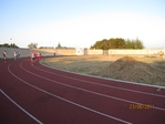 Immagine_353.jpg