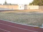 Immagine_384.jpg