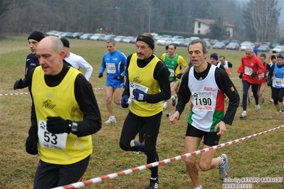 Clicca per vedere l'immagine alla massima grandezza