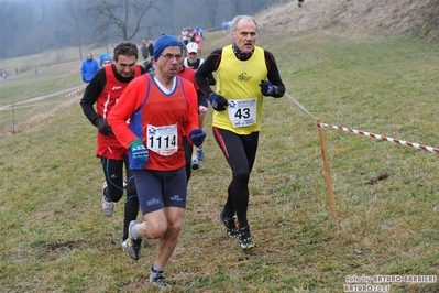 Clicca per vedere l'immagine alla massima grandezza
