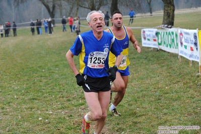 Clicca per vedere l'immagine alla massima grandezza