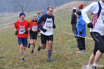 Clicca per vedere l'immagine alla massima grandezza