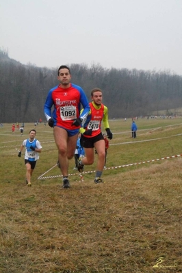 Clicca per vedere l'immagine alla massima grandezza