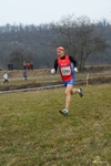 SAM_2943-crop.JPG