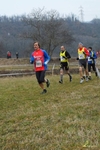 SAM_2957-crop.JPG