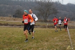 SAM_2960-crop.JPG
