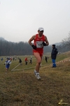 SAM_2976-crop.JPG