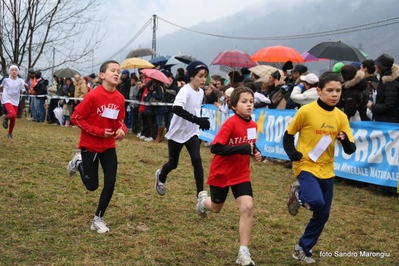 Clicca per vedere l'immagine alla massima grandezza