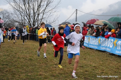 Clicca per vedere l'immagine alla massima grandezza