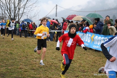 Clicca per vedere l'immagine alla massima grandezza